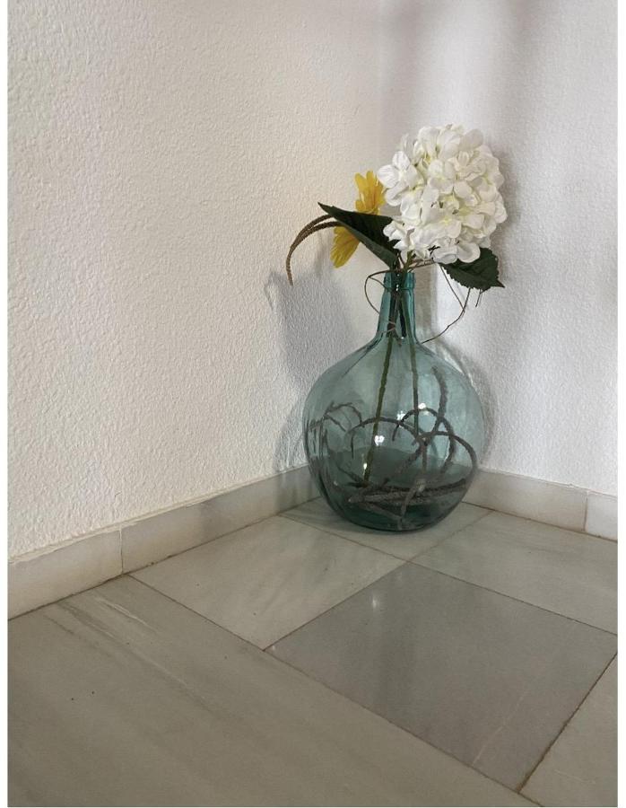 Casa Merche San Jose  Ngoại thất bức ảnh
